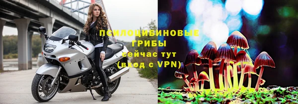 стафф Белоозёрский