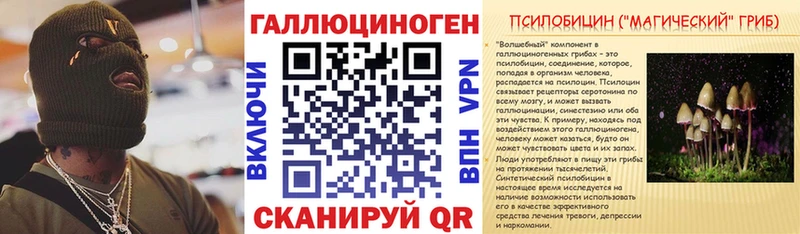 наркотики Волосово MEGA tor Псилоцибиновые грибы GOLDEN TEACHER