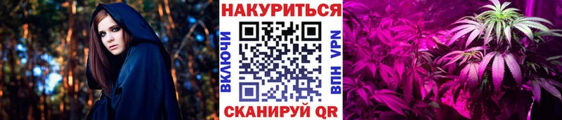 Канабис MAZAR  blacksprut онион  Волосово  где купить наркоту 
